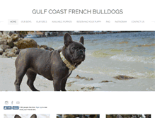 Tablet Screenshot of gulfcoastfrenchbulldogs.com